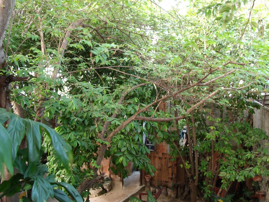 Casitas Kinsol Hotel Puerto Morelos Kültér fotó