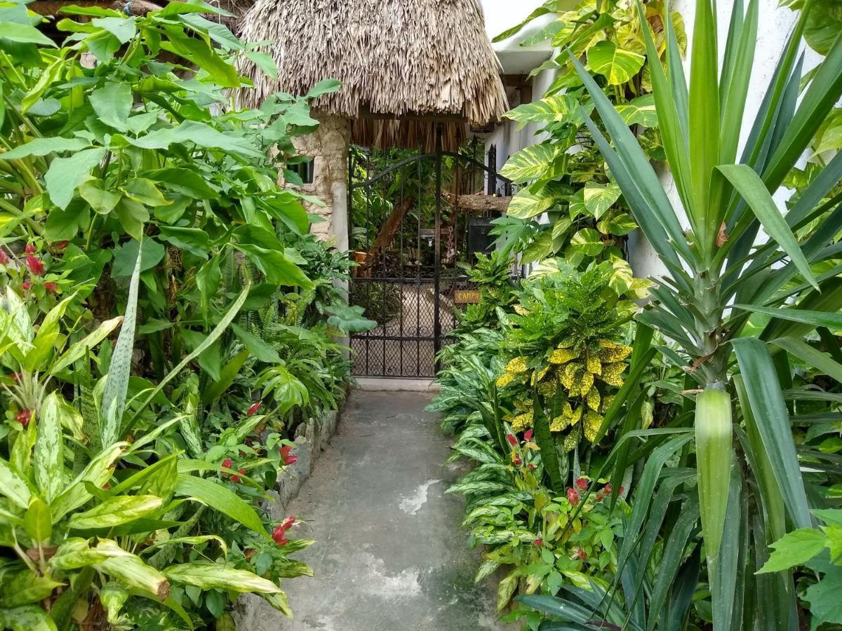 Casitas Kinsol Hotel Puerto Morelos Kültér fotó