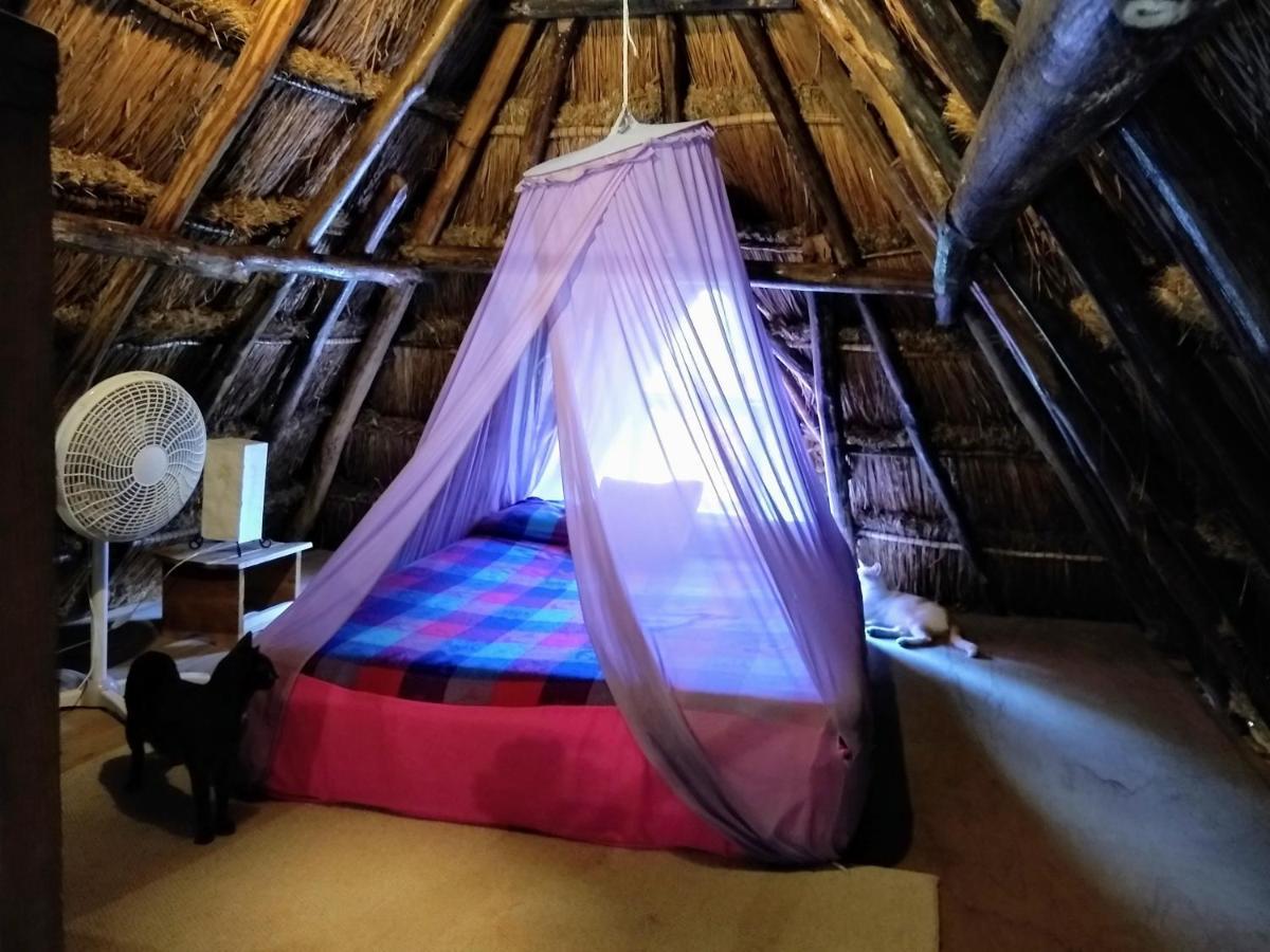 Casitas Kinsol Hotel Puerto Morelos Kültér fotó
