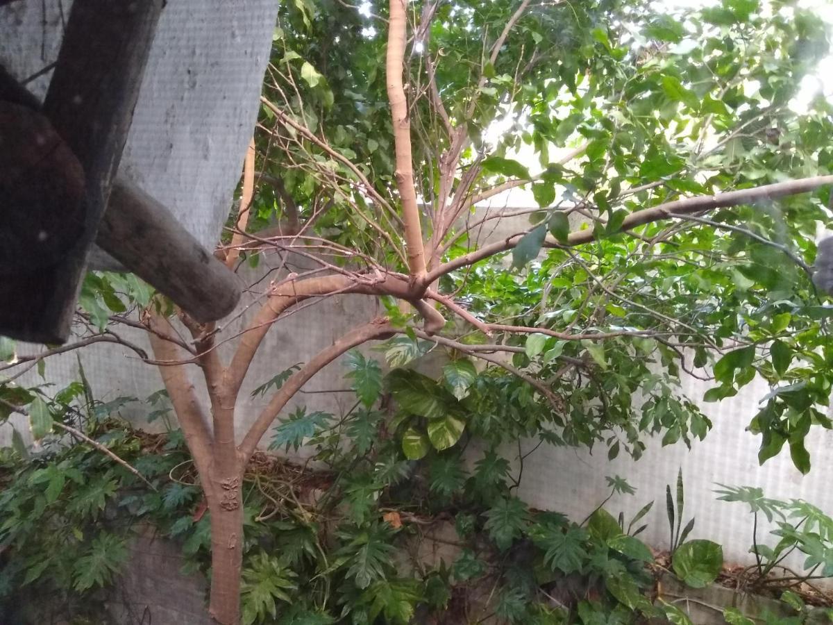 Casitas Kinsol Hotel Puerto Morelos Kültér fotó